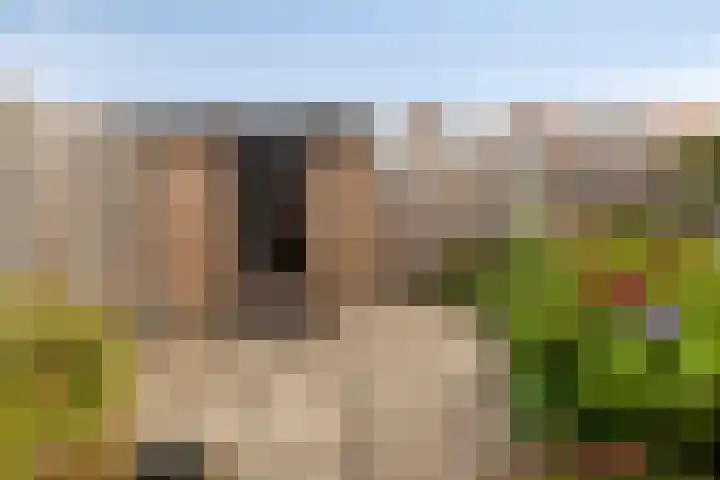 Cornelis Bloemaertstraat 63 Eindhoven thumbnail 24