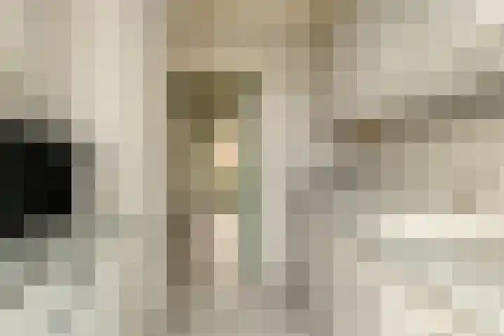 Cornelis Bloemaertstraat 63 Eindhoven thumbnail 5