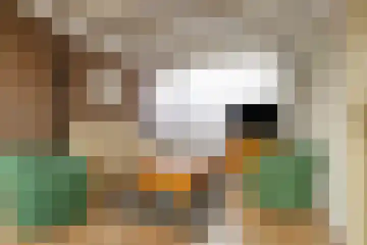 Cornelis Bloemaertstraat 63 Eindhoven thumbnail 8