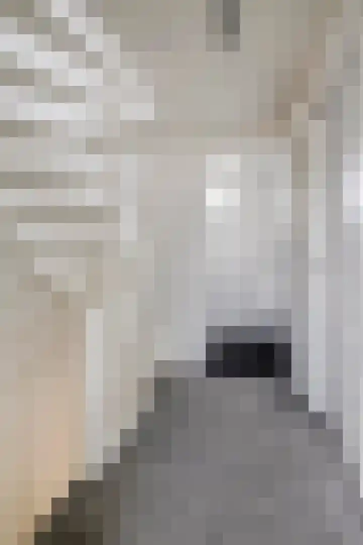 Cornelis Bloemaertstraat 69 Eindhoven thumbnail 10