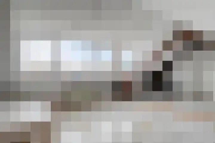 Cornelis Bloemaertstraat 69 Eindhoven thumbnail 17