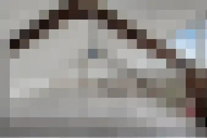 Cornelis Bloemaertstraat 69 Eindhoven thumbnail 18