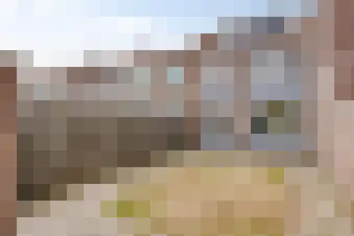 Cornelis Bloemaertstraat 69 Eindhoven thumbnail 21