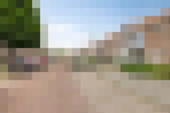 Cornelis Bloemaertstraat 69 Eindhoven thumbnail 22