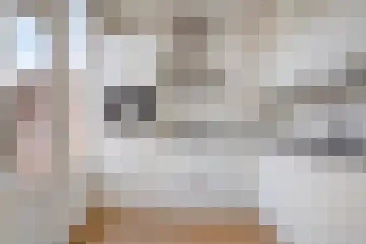 Cornelis Bloemaertstraat 69 Eindhoven thumbnail 5