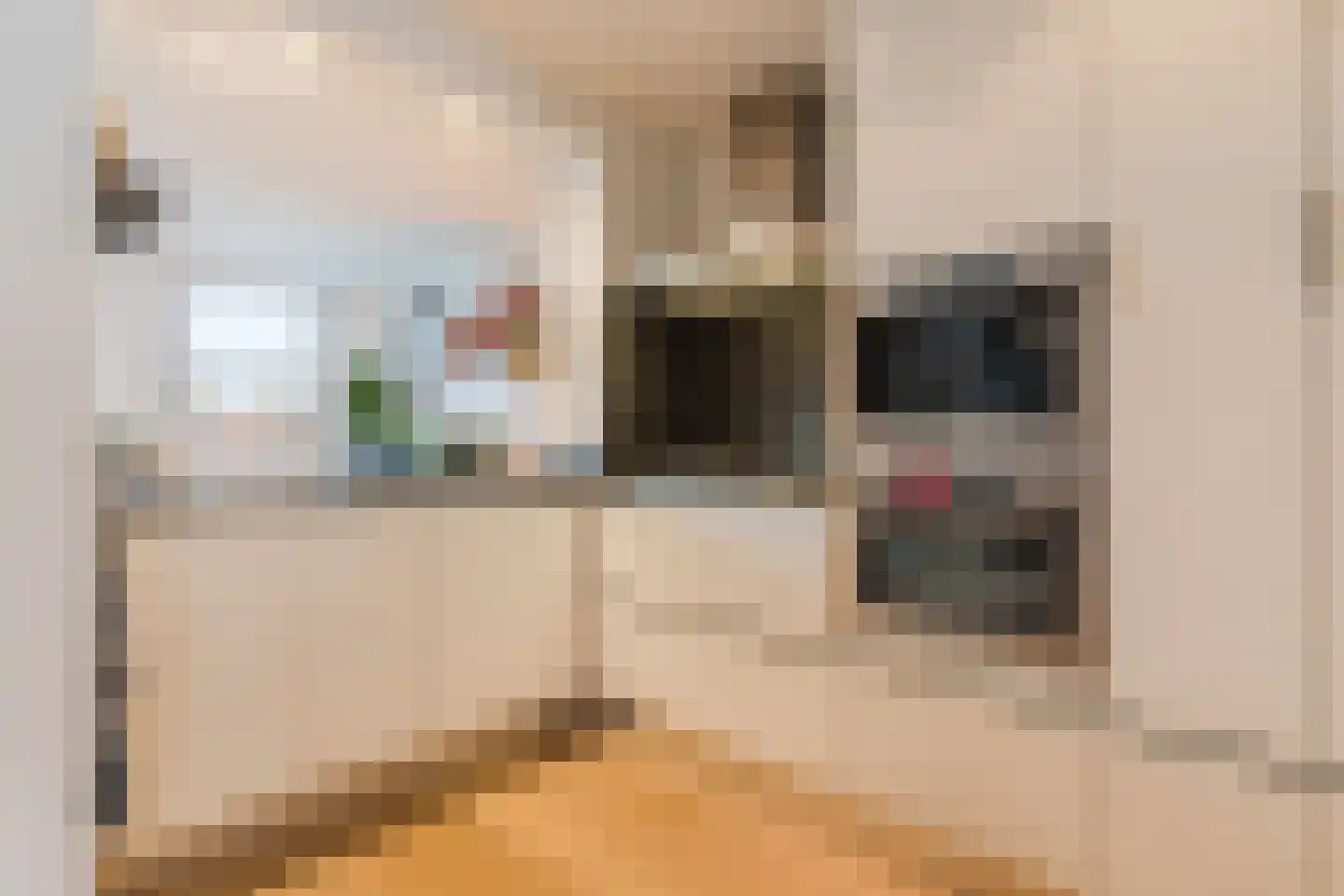 Cornelis Bloemaertstraat 70 Eindhoven thumbnail 13