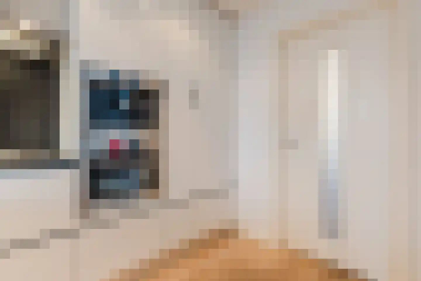 Cornelis Bloemaertstraat 70 Eindhoven thumbnail 14