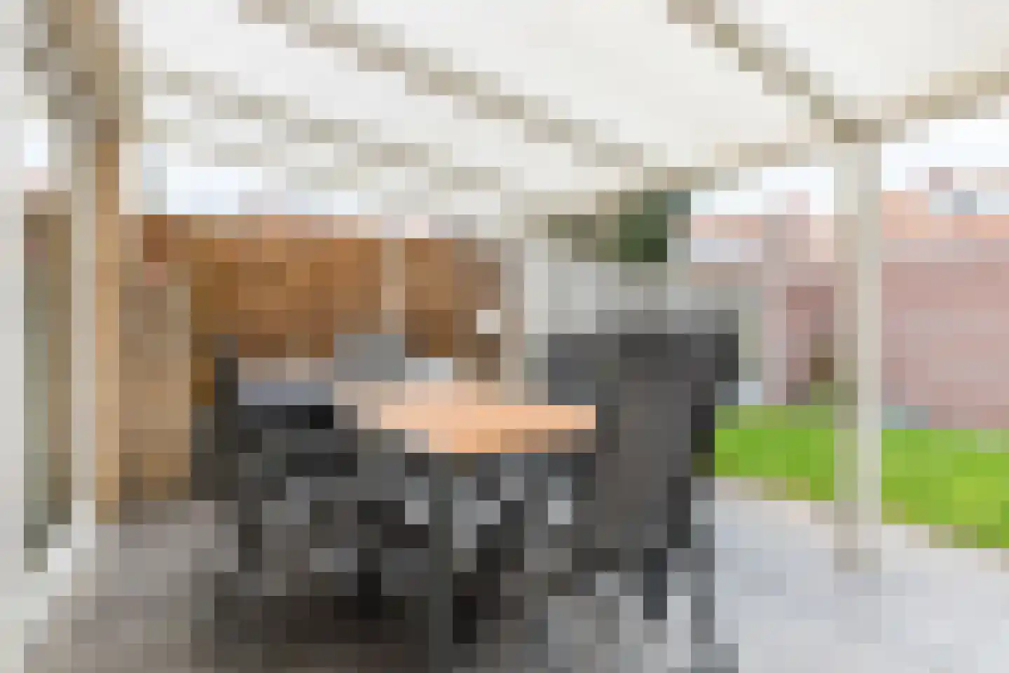Cornelis Bloemaertstraat 70 Eindhoven thumbnail 37