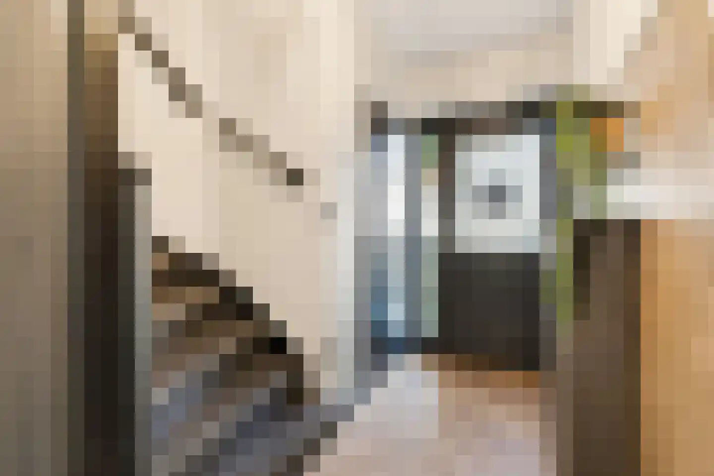 Cornelis Bloemaertstraat 74 Eindhoven thumbnail 13