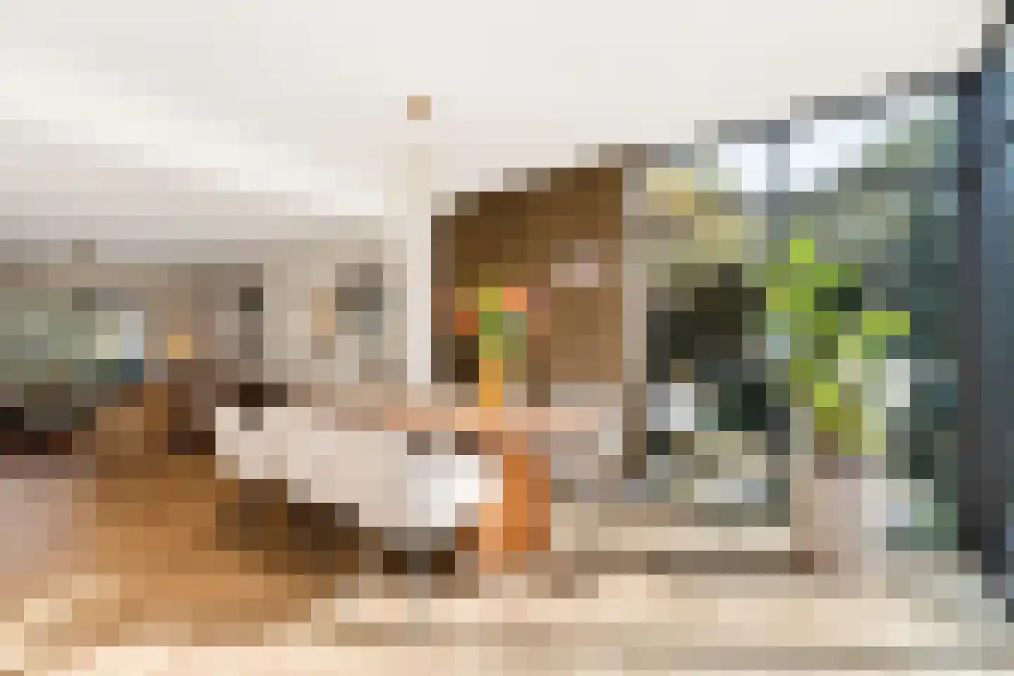 Cornelis Bloemaertstraat 74 Eindhoven thumbnail 19