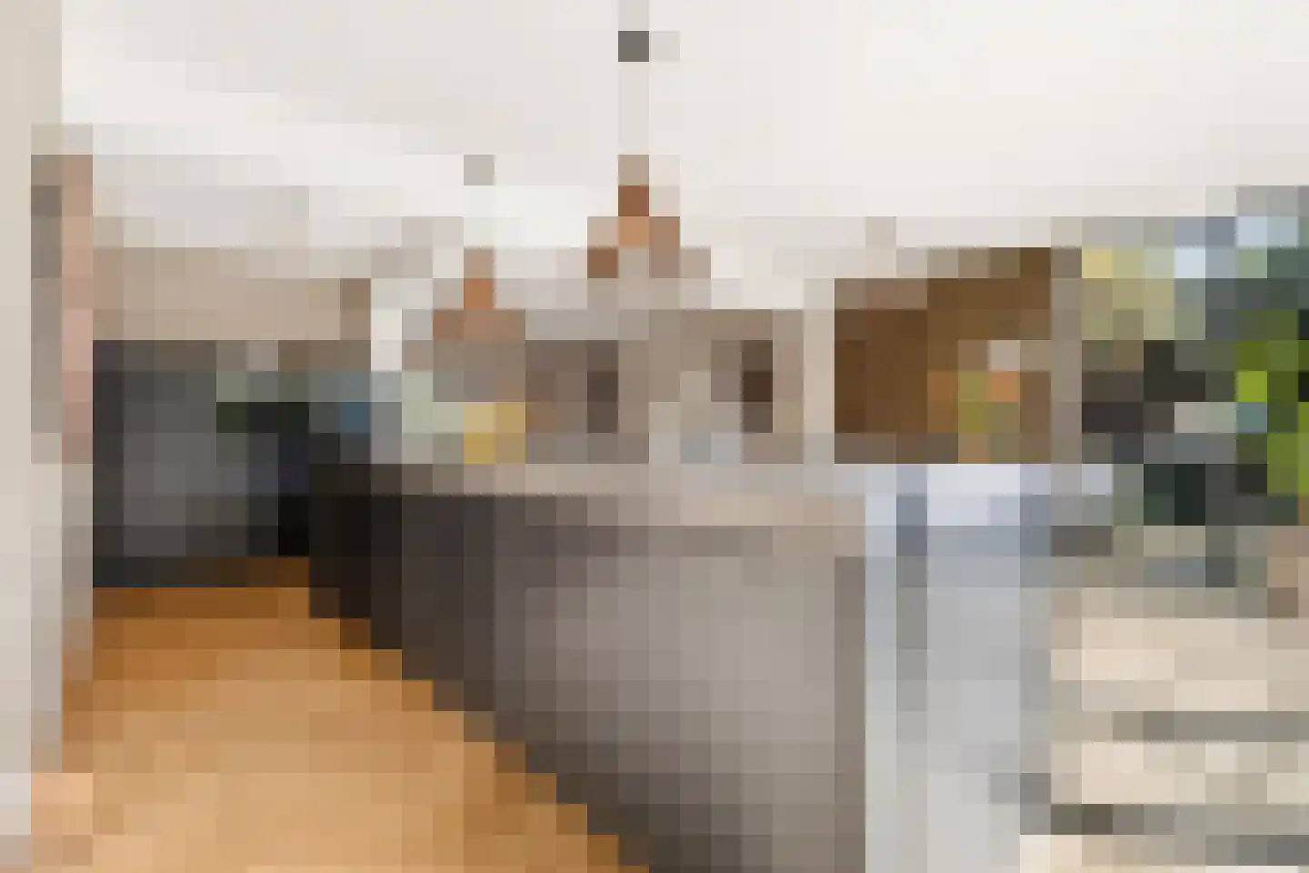 Cornelis Bloemaertstraat 74 Eindhoven thumbnail 22