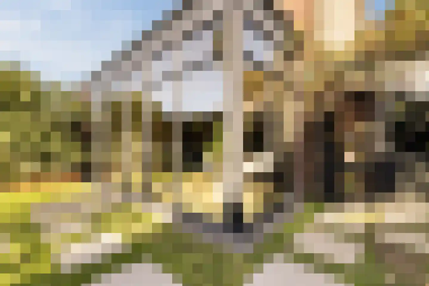 Cornelis Bloemaertstraat 74 Eindhoven thumbnail 24