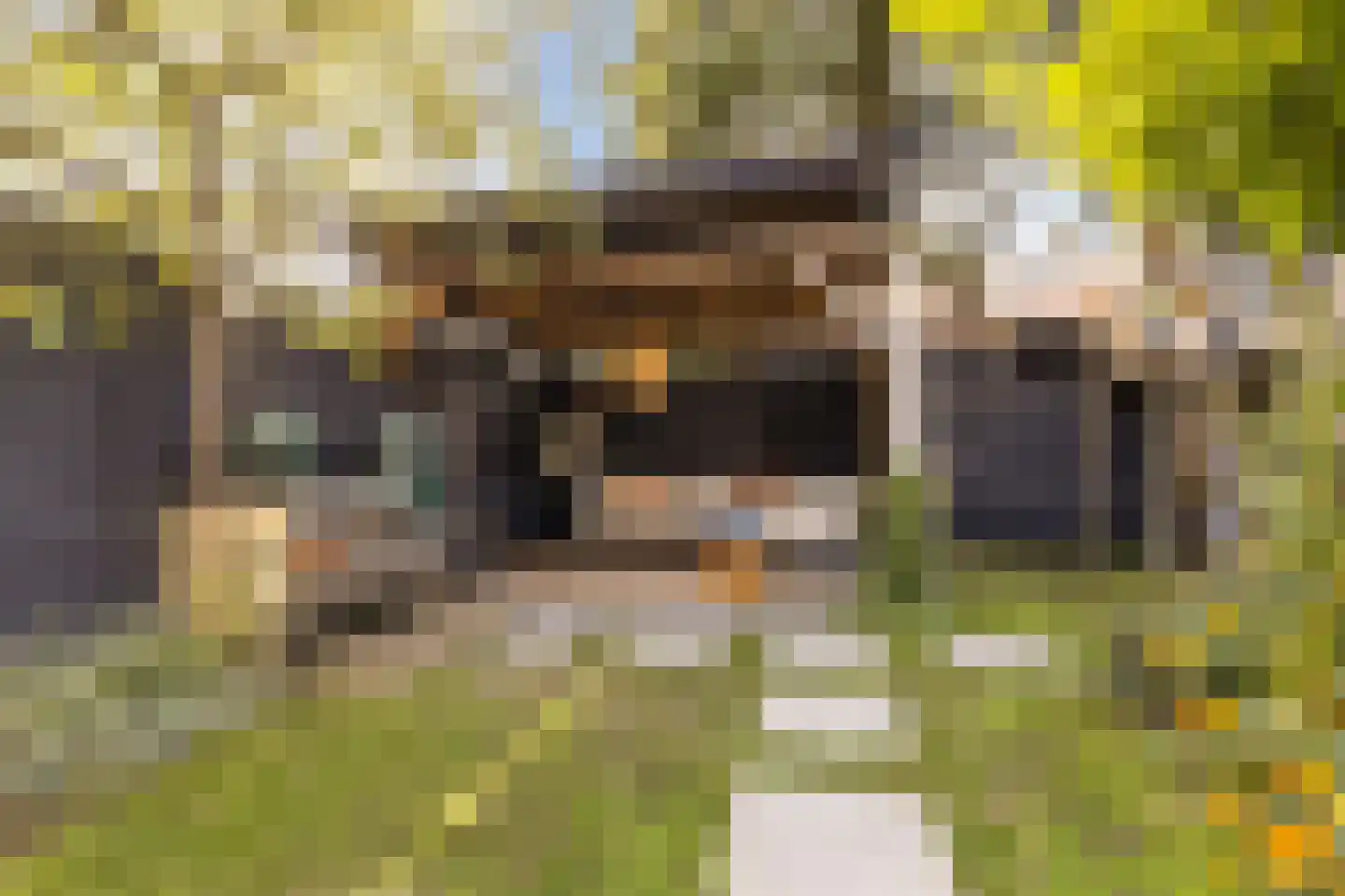 Cornelis Bloemaertstraat 74 Eindhoven thumbnail 27