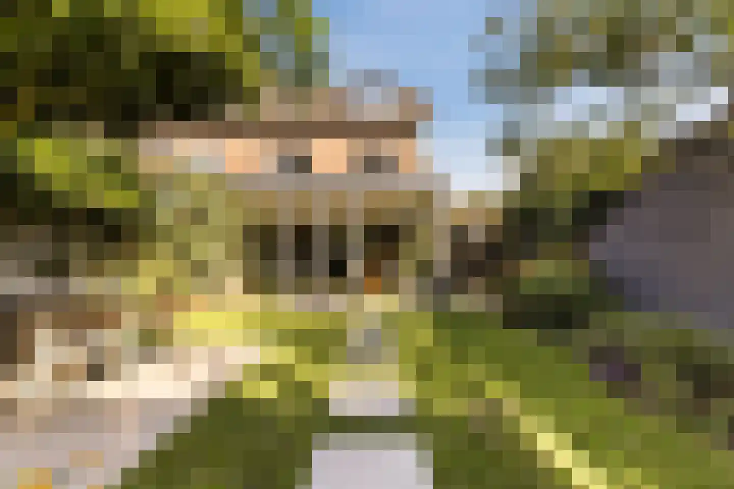Cornelis Bloemaertstraat 74 Eindhoven thumbnail 30