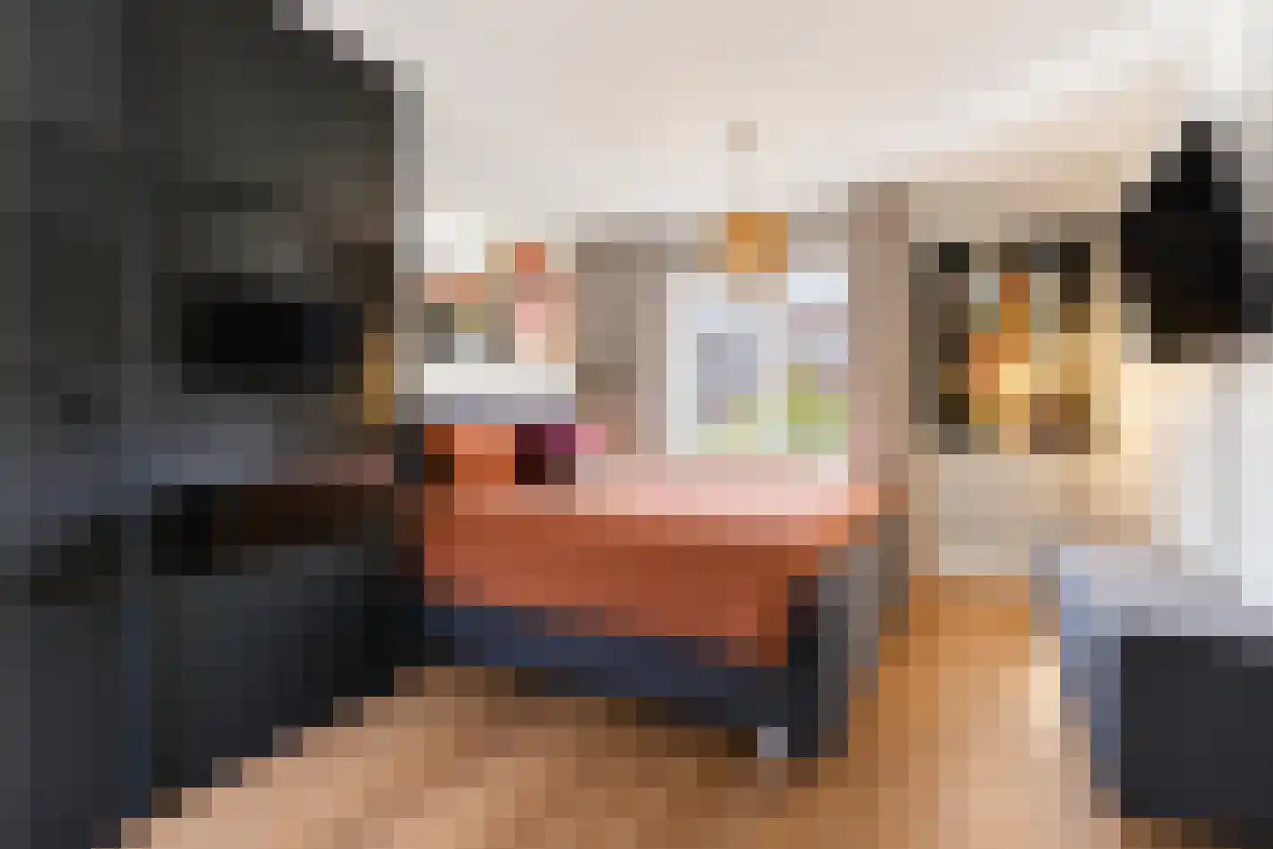 Cornelis Bloemaertstraat 74 Eindhoven thumbnail 33