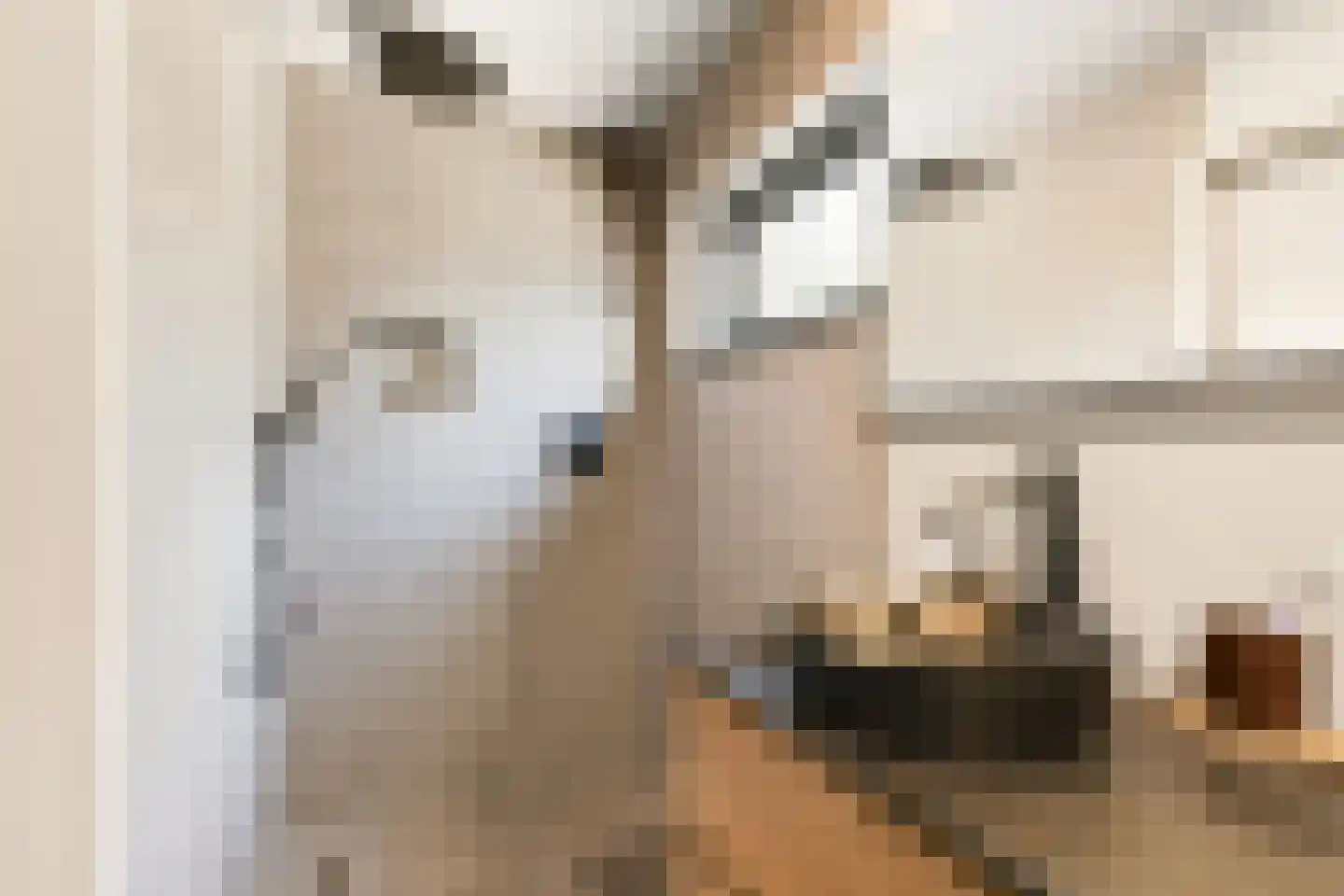 Cornelis Bloemaertstraat 74 Eindhoven thumbnail 36
