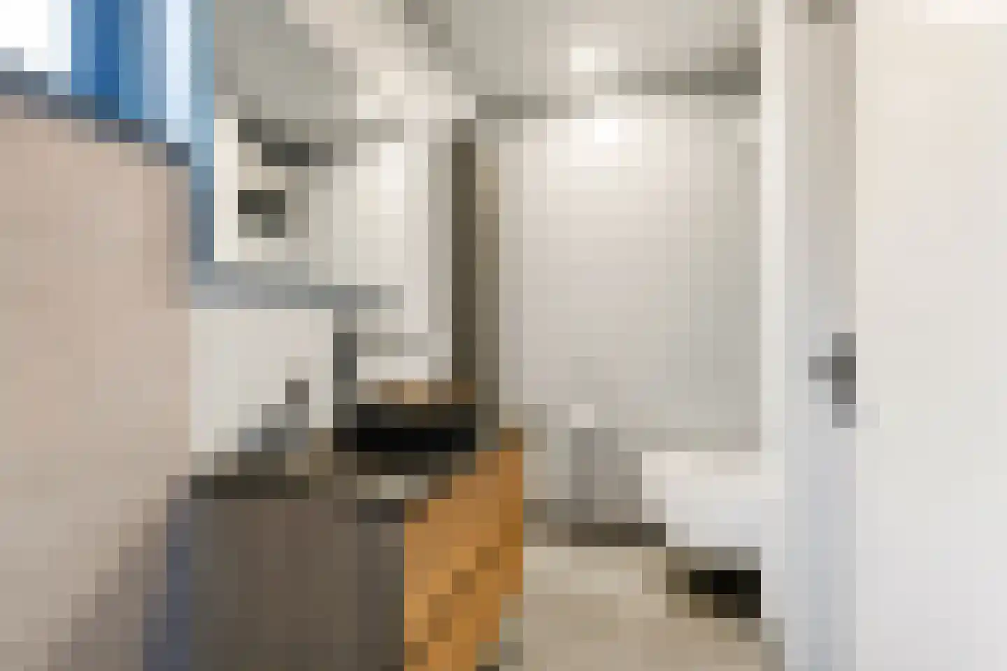 Cornelis Bloemaertstraat 74 Eindhoven thumbnail 37