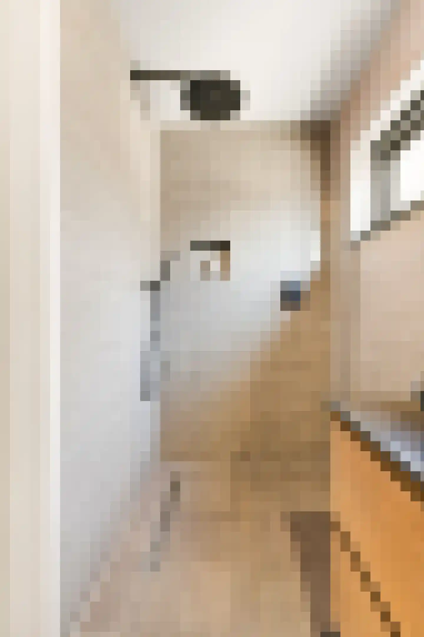 Cornelis Bloemaertstraat 74 Eindhoven thumbnail 38