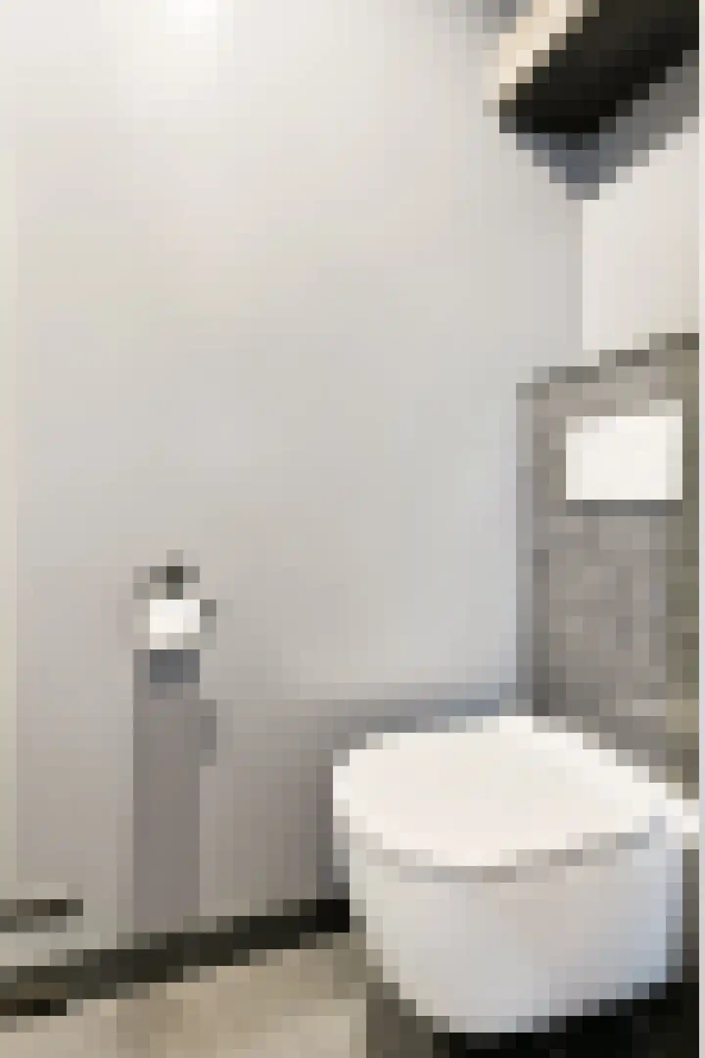 Cornelis Bloemaertstraat 74 Eindhoven thumbnail 39