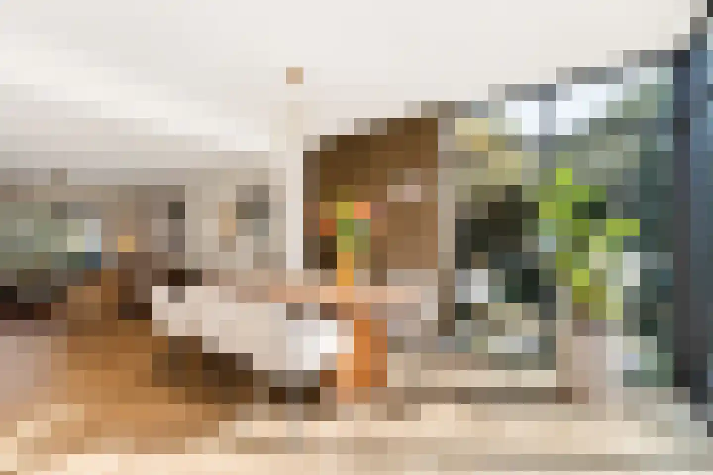 Cornelis Bloemaertstraat 74 Eindhoven thumbnail 7