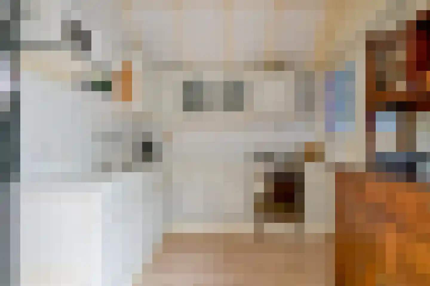 Cornelis Bokstraat 29 Schagen thumbnail 11