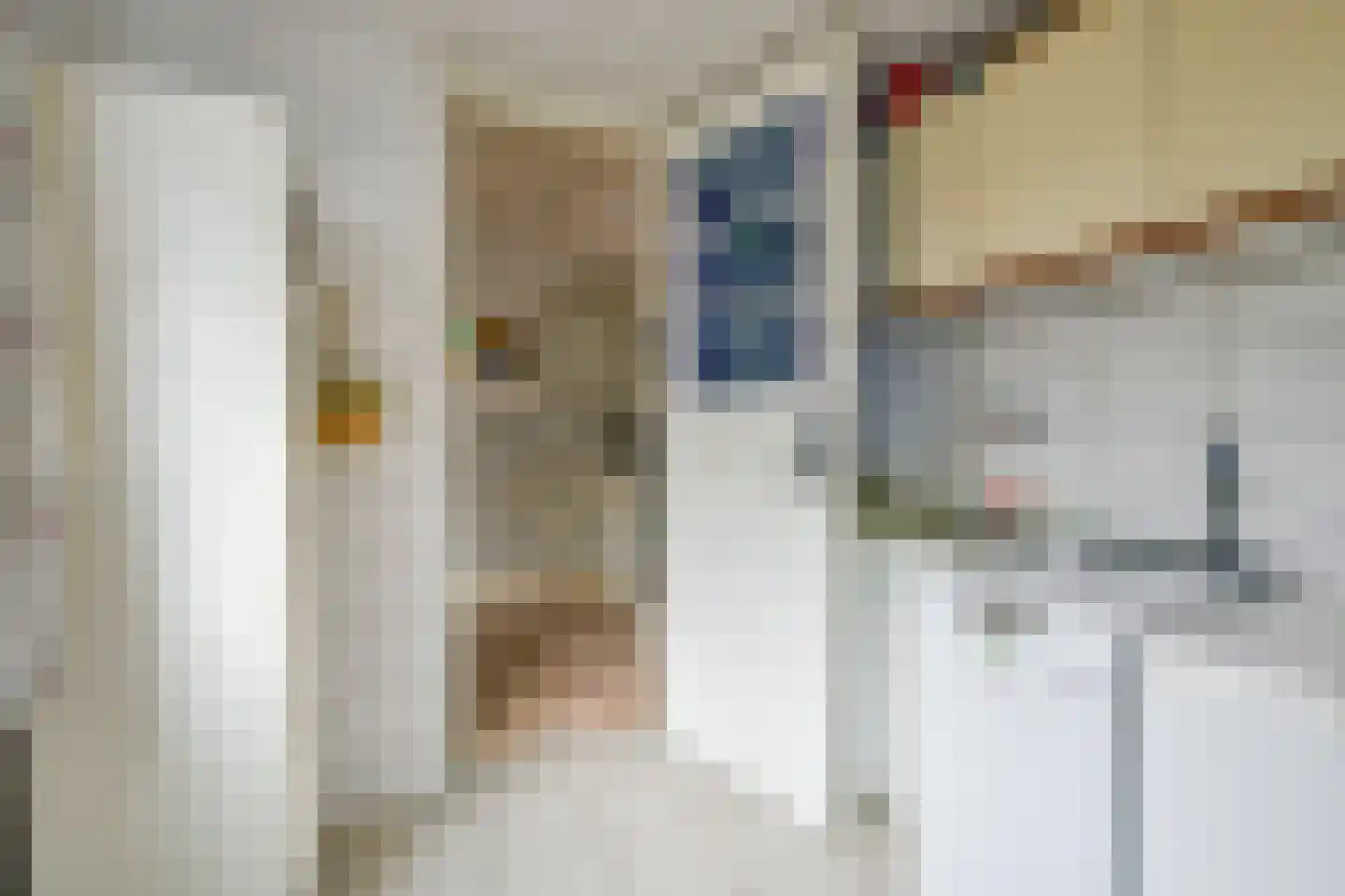 Cornelis Bokstraat 29 Schagen thumbnail 13