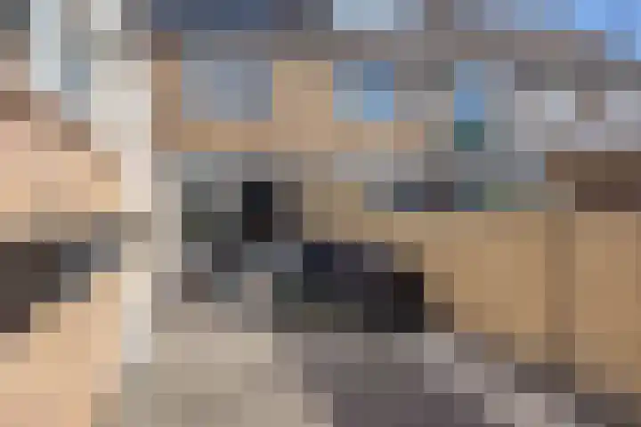 Cornelis Boldingstraat 15 Volendam thumbnail 16