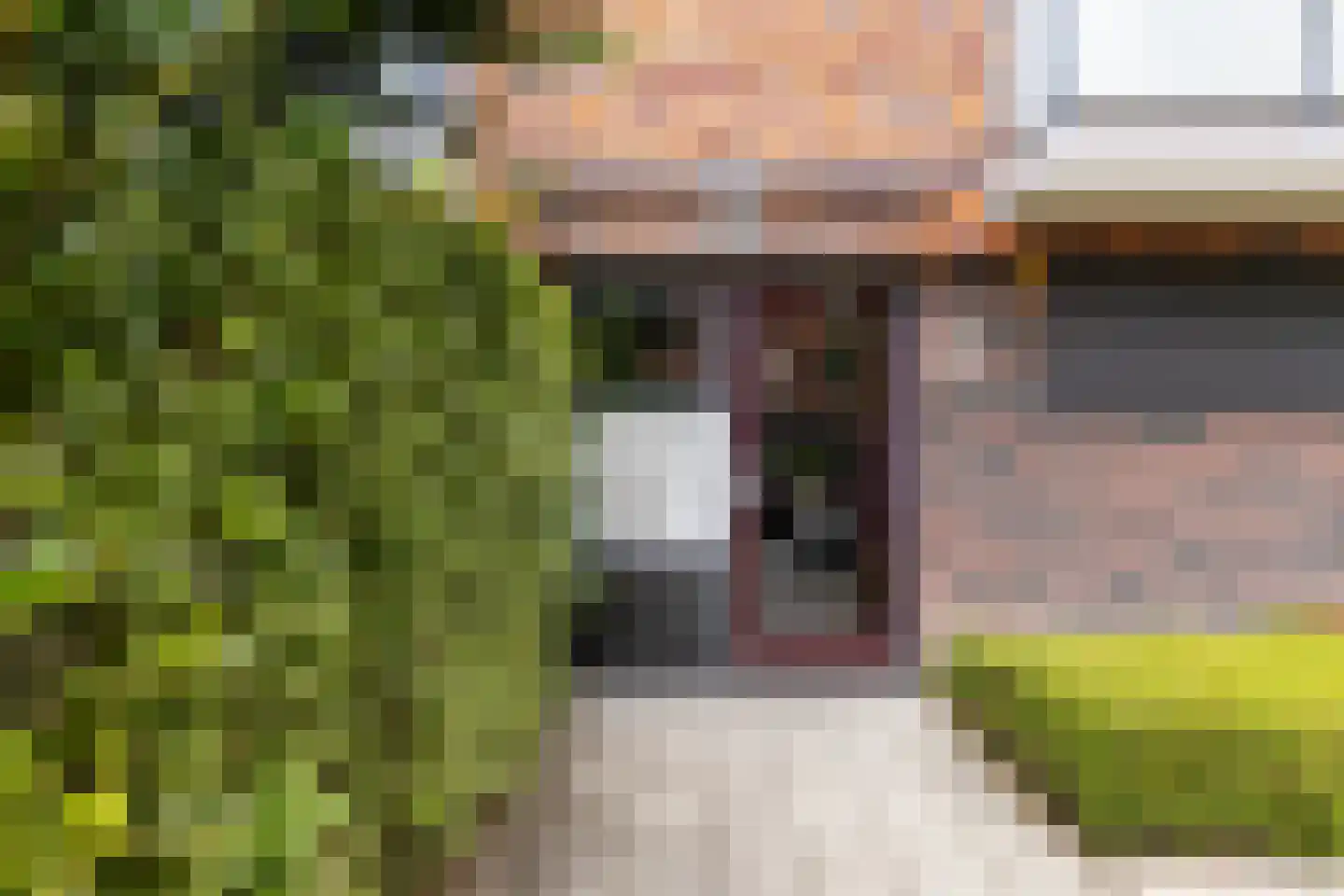 Cornelis Boosterstraat 7 Maassluis thumbnail 4