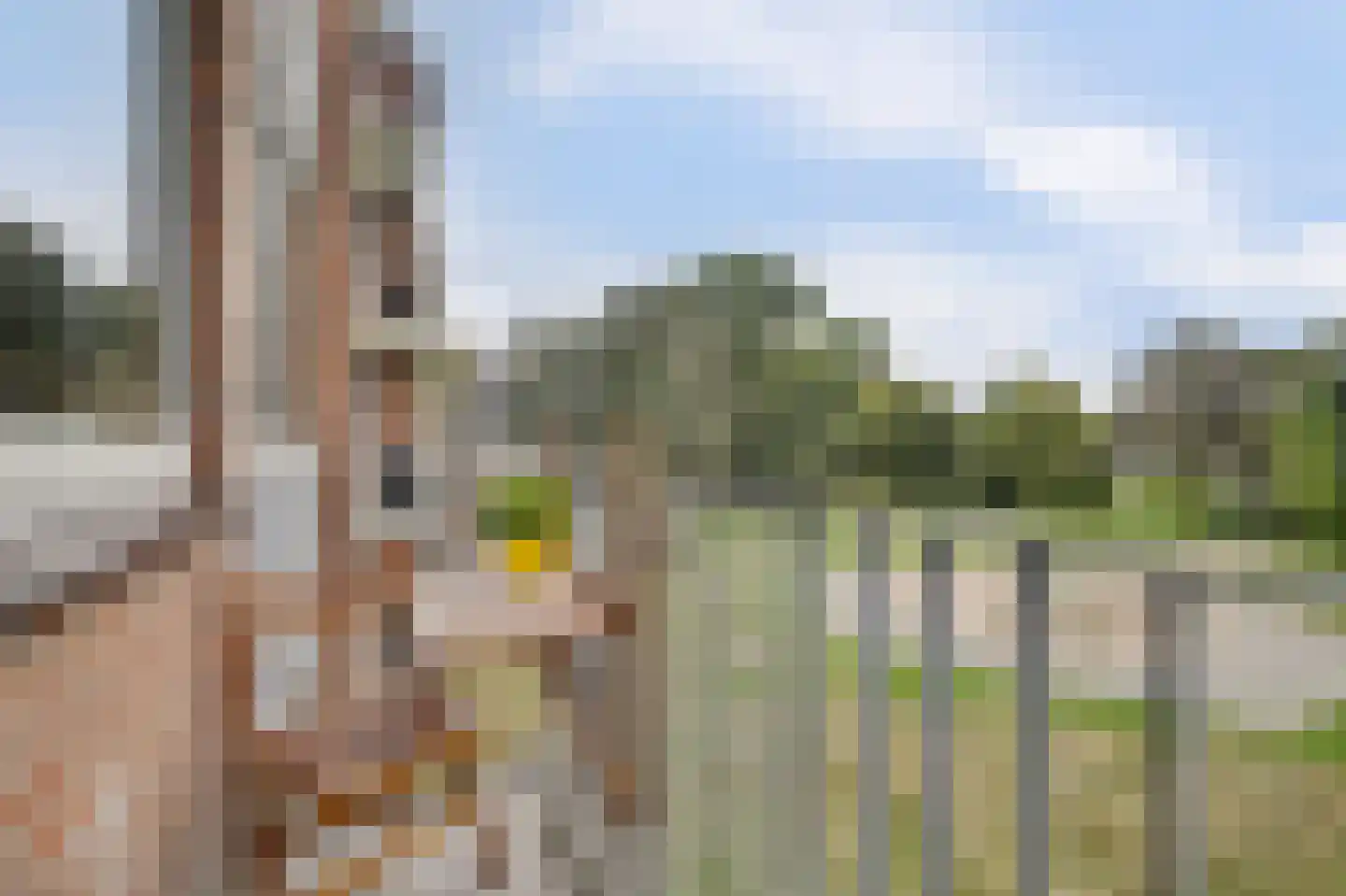 Cornelis Bosstraat 20 Rosmalen thumbnail 21
