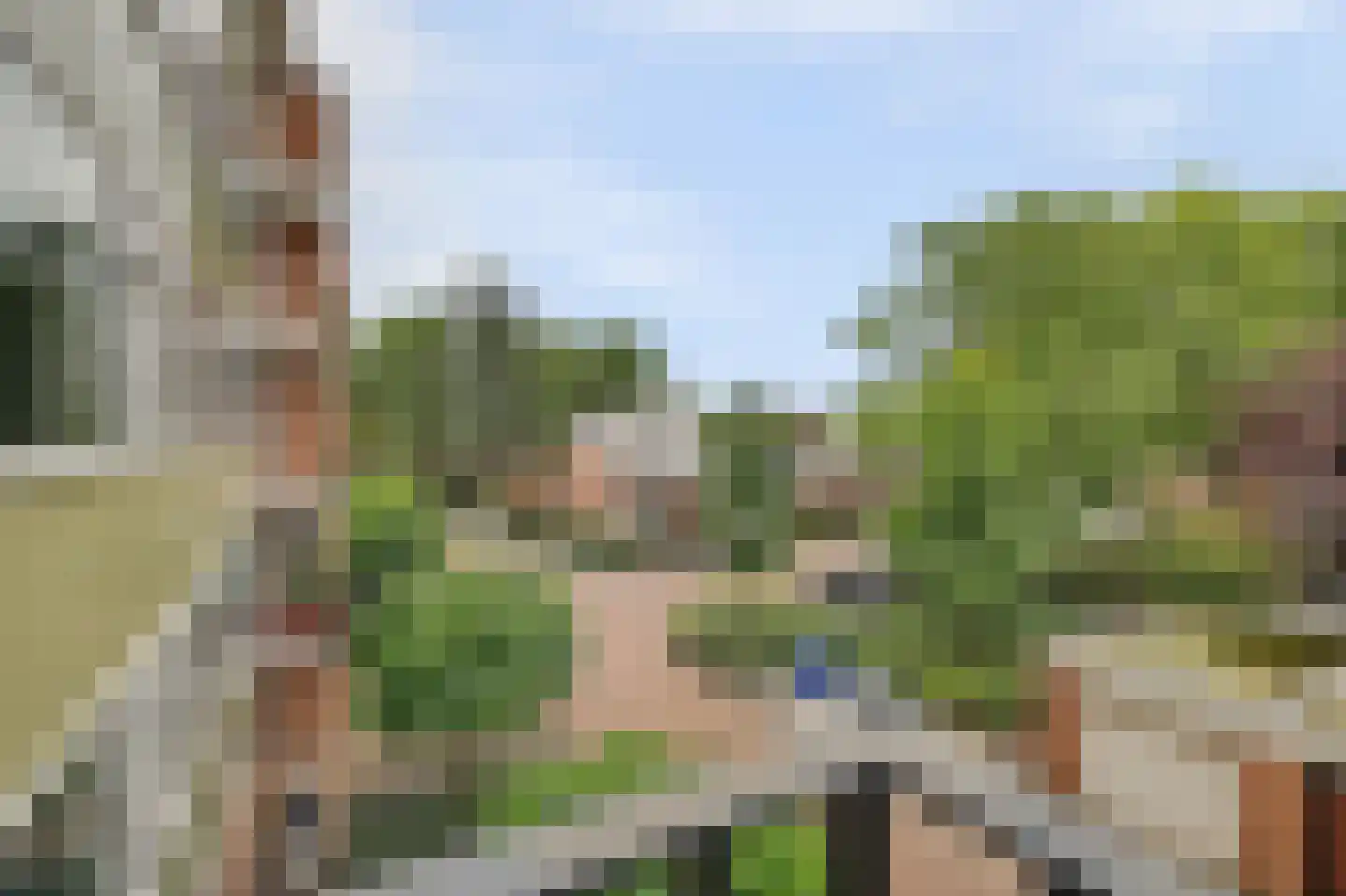 Cornelis Bosstraat 20 Rosmalen thumbnail 23