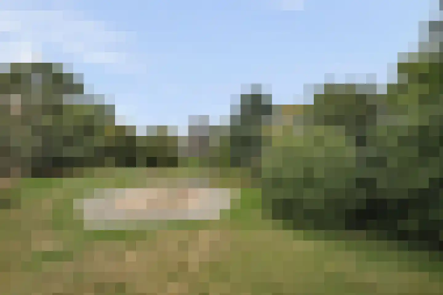 Cornelis Bosstraat 20 Rosmalen thumbnail 33