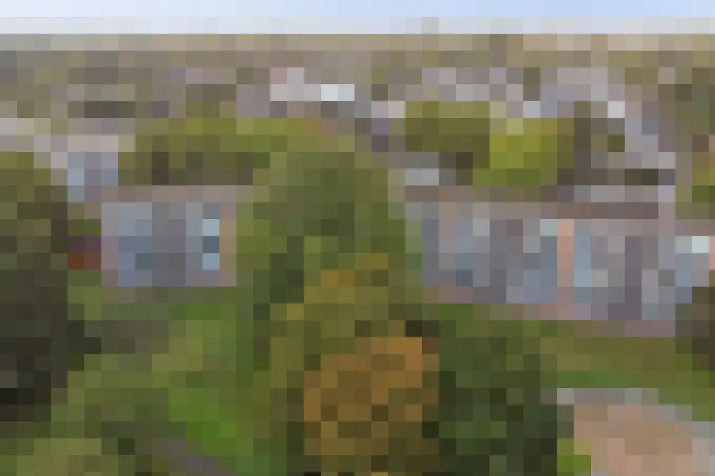 Cornelis Bosstraat 20 Rosmalen thumbnail 36
