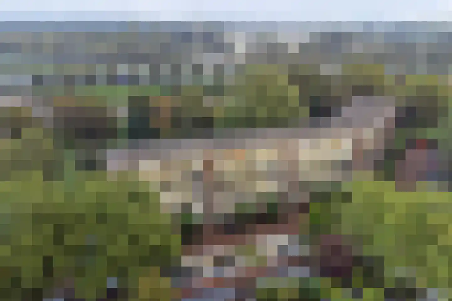 Cornelis Bosstraat 20 Rosmalen thumbnail 37