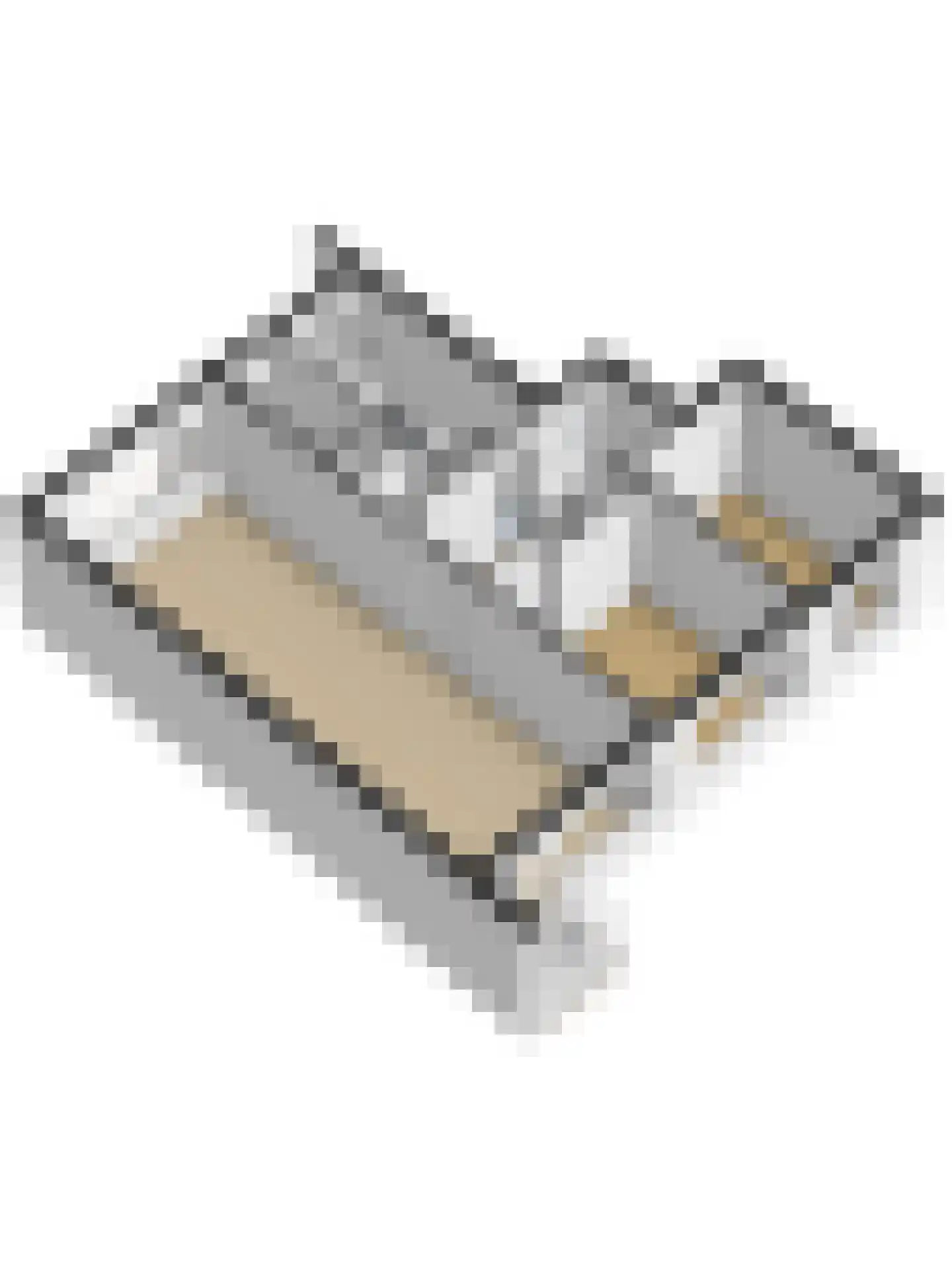 Cornelis Bosstraat 20 Rosmalen thumbnail 39