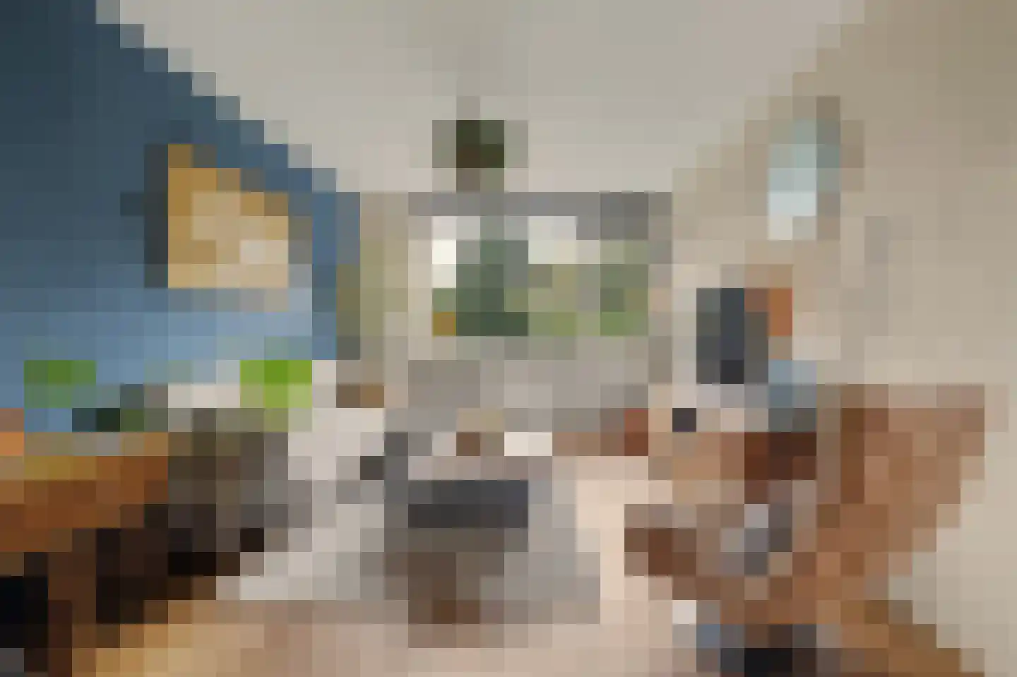 Cornelis Bosstraat 20 Rosmalen thumbnail 4