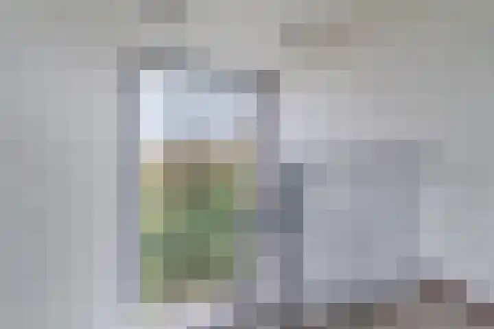Cornelis Bosstraat 24 Rosmalen thumbnail 4