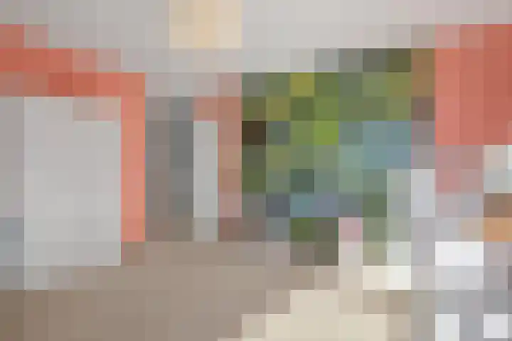 Cornelis Claasz Baas Hof 1 Kudelstaart thumbnail 14