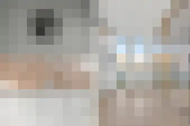 Cornelis Claasz Baas Hof 1 Kudelstaart thumbnail 19