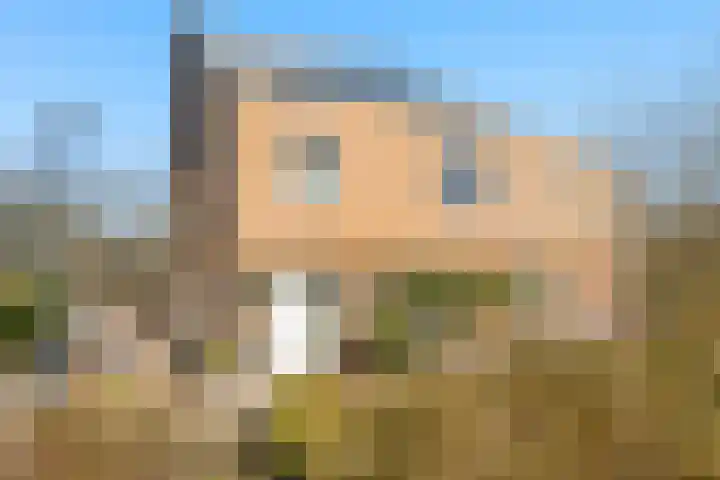 Cornelis Claasz Baas Hof 1 Kudelstaart thumbnail 29