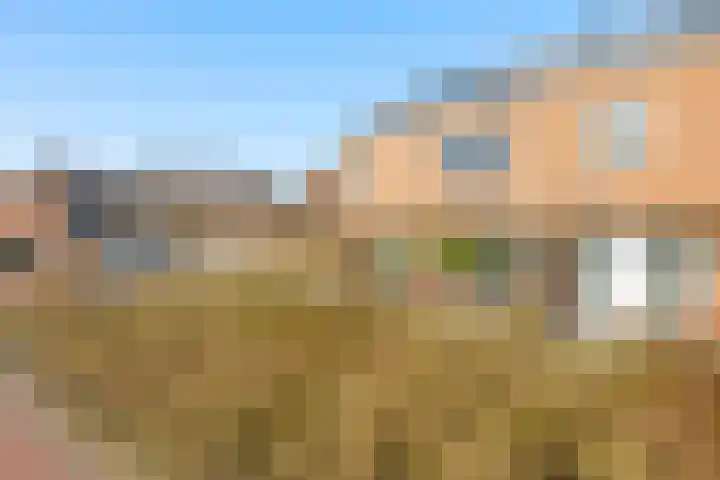 Cornelis Claasz Baas Hof 1 Kudelstaart thumbnail 30