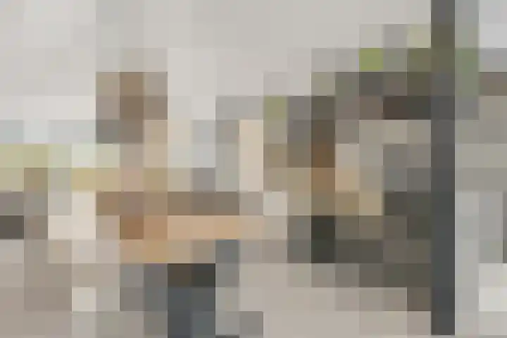 Cornelis Claasz Baas Hof 1 Kudelstaart thumbnail 5