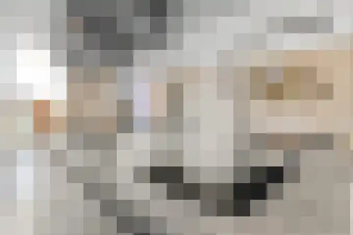 Cornelis Claasz Baas Hof 1 Kudelstaart thumbnail 6
