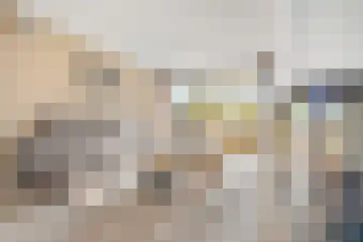 Cornelis Claasz Baas Hof 1 Kudelstaart thumbnail 8