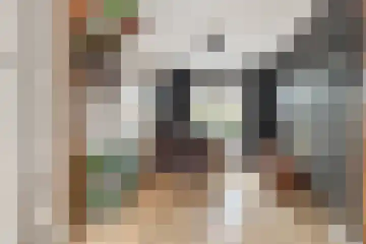 Cornelis Corneliszoonstraat 10 Uitgeest thumbnail 10