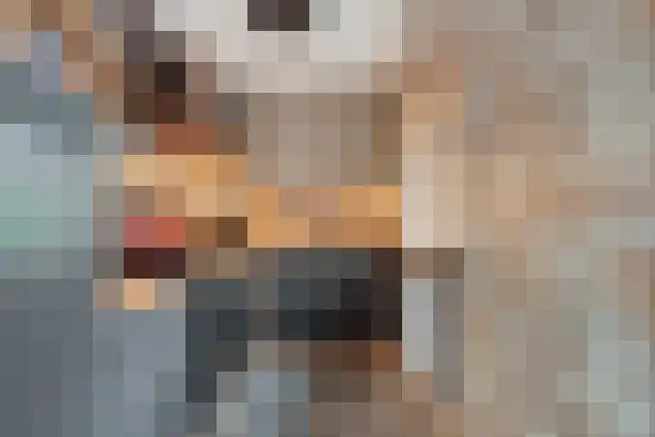 Cornelis Corneliszoonstraat 10 Uitgeest thumbnail 13