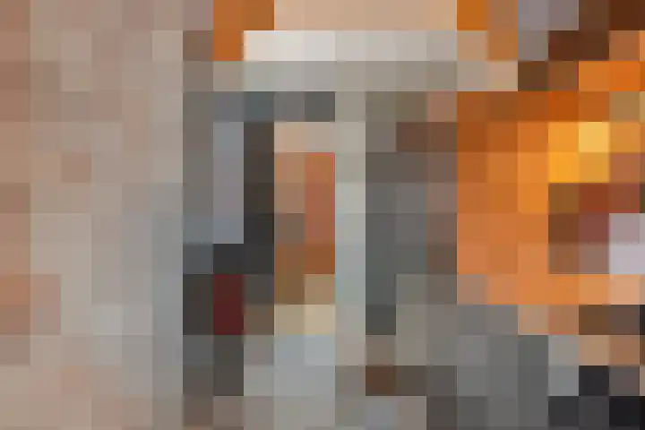 Cornelis Corneliszoonstraat 10 Uitgeest thumbnail 14