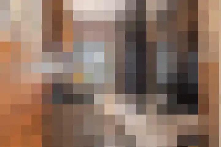 Cornelis Corneliszoonstraat 10 Uitgeest thumbnail 20
