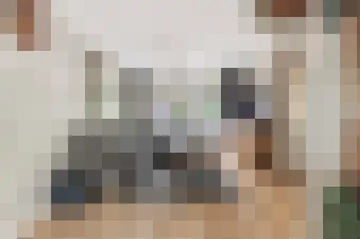 Cornelis Corneliszoonstraat 10 Uitgeest thumbnail 5