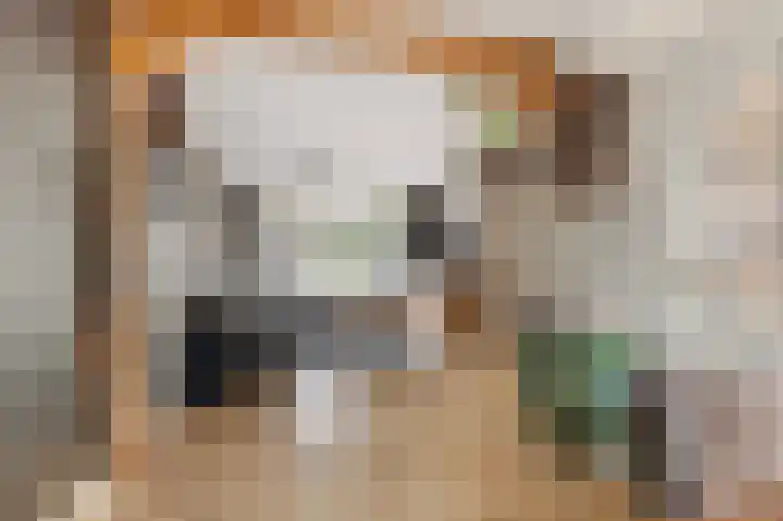 Cornelis Corneliszoonstraat 10 Uitgeest thumbnail 8