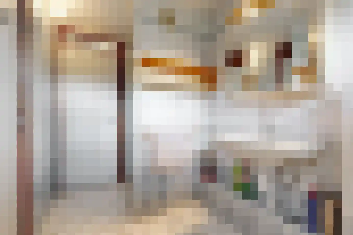 Cornelis de Houtmanlaan 21 Maarssen thumbnail 28